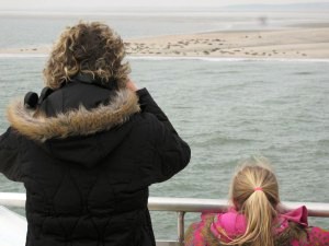 Zeehonden vanaf de veerboot